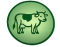 Gir Cow Ghee